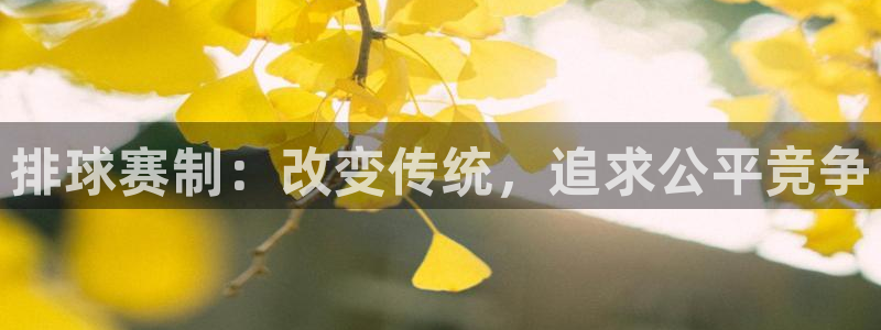  排球赛制：改变传统，追求公平竞争