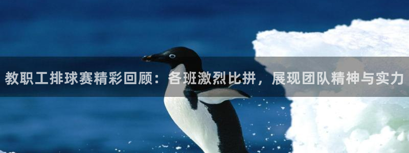 教职工排球赛精彩回顾：各班激烈比拼，