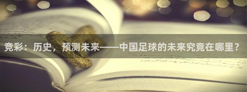 竞彩：历史，预测未来——中国足球的未