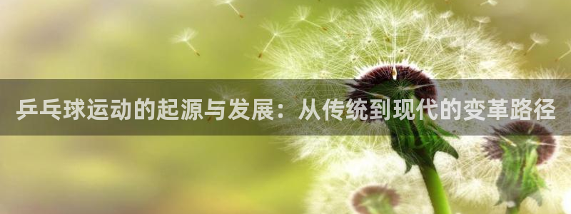 乒乓球运动的起源与发展：从传统到现代
