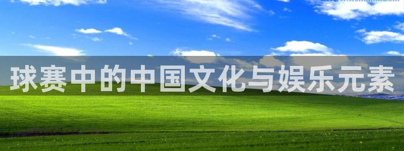 球赛中的中国文化与娱乐元素