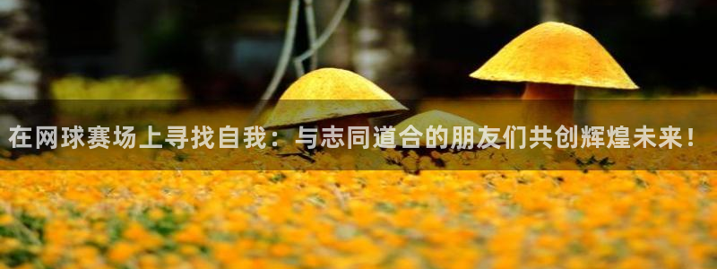 在网球赛场上寻找自我：与志同道合的朋