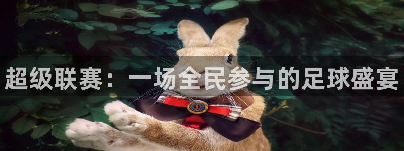 超级联赛：一场全民参与的足球盛宴