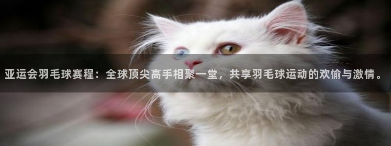 亚运会羽毛球赛程：全球顶尖高手相聚一