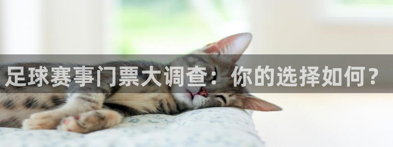 足球赛事门票大调查：你的选择如何？