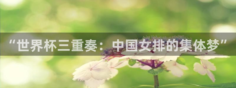 “世界杯三重奏：中国女排的集体梦”