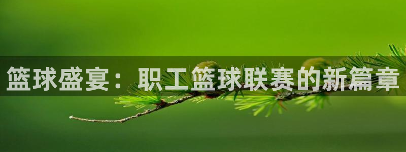 米兰体育法人代表是谁啊：篮球盛宴：职工篮球联赛的新篇章