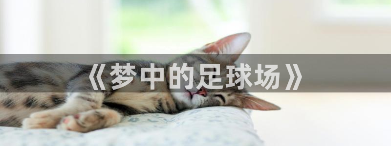 国际米兰体育场：《梦中的足球场》
