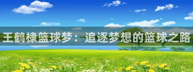  米兰体育报的准确度：王鹤棣篮球梦：追逐梦想的篮球之路