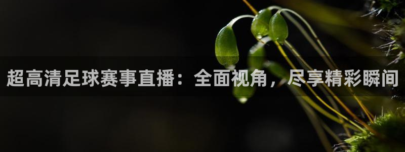  米兰体育.：超高清足球赛事直播：全面视角，尽享精彩瞬间