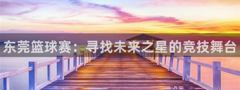 米兰体育俱乐部在哪里：东莞篮球赛：寻找未来之星的竞技舞台