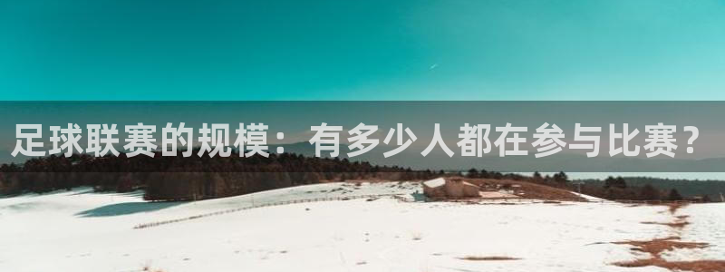 米兰体育中心：足球联赛的规模：有多少人都在参与比赛？