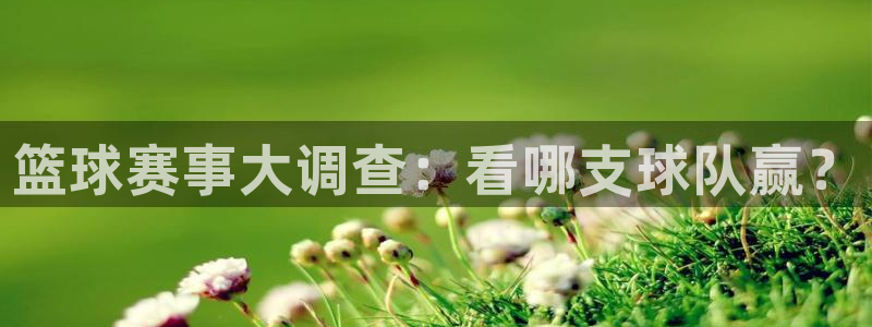 米兰体育法人代表是谁：篮球赛事大调查：看哪支球队赢？
