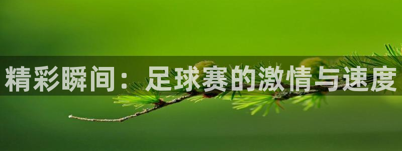  米兰体育场叫什么名字啊：精彩瞬间：足球赛的激情与速度