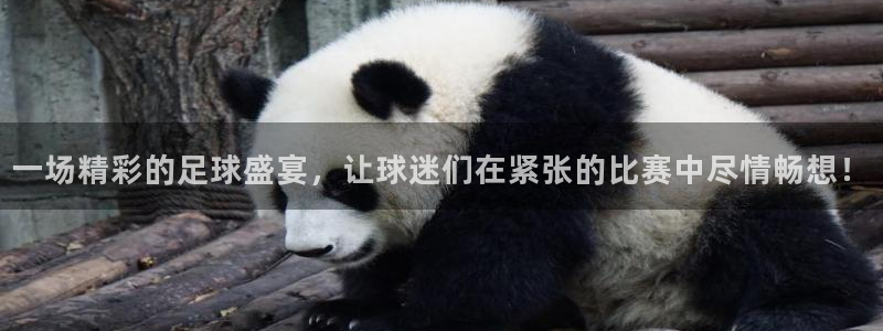  米兰体育俱乐部在哪里：一场精彩的足球盛宴，让球迷们在紧张的比