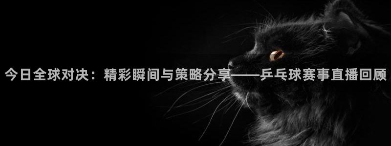 米兰体育场英文翻译：今日全球对决：精彩瞬间与策略分享——乒乓