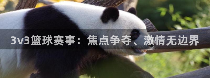 米兰体育中心在哪里啊：3v3篮球赛事：焦点争夺、激情无边界