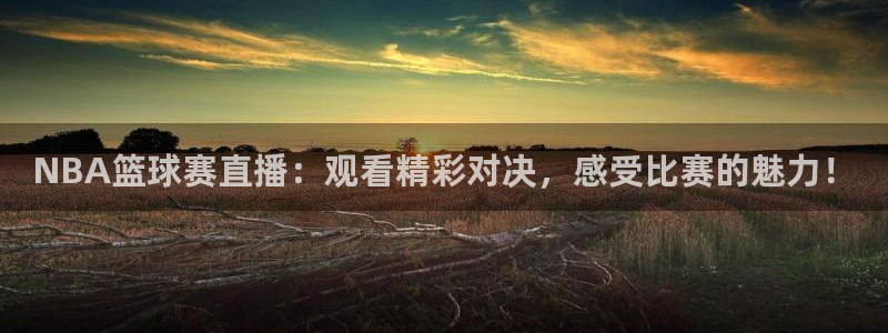北京市米兰体育文化发展有限公司：NBA篮球赛直播：观看精彩对