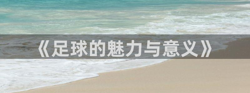 米兰体育馆：《足球的魅力与意义》
