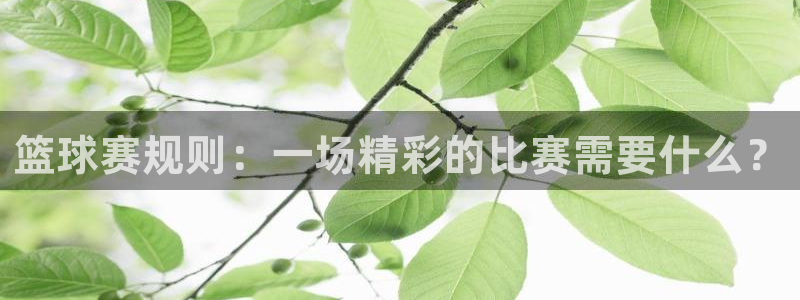 米兰体育报个人画册：篮球赛规则：一场精彩的比赛需要什么？