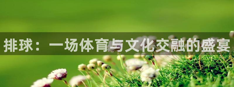 米兰体育.：排球：一场体育与文化交融的盛宴