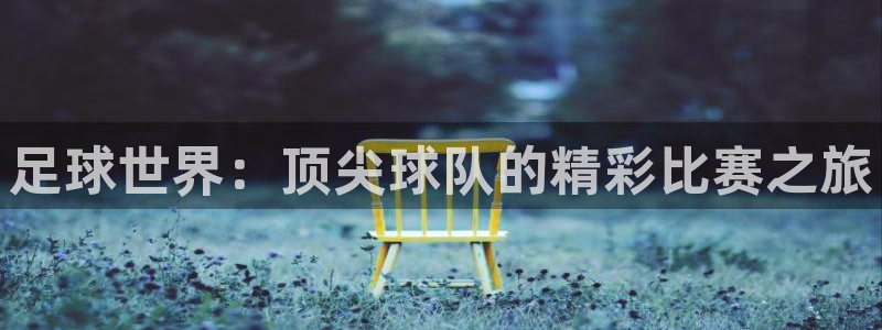  米兰体育场建设计划方案：足球世界：顶尖球队的精彩比赛之旅